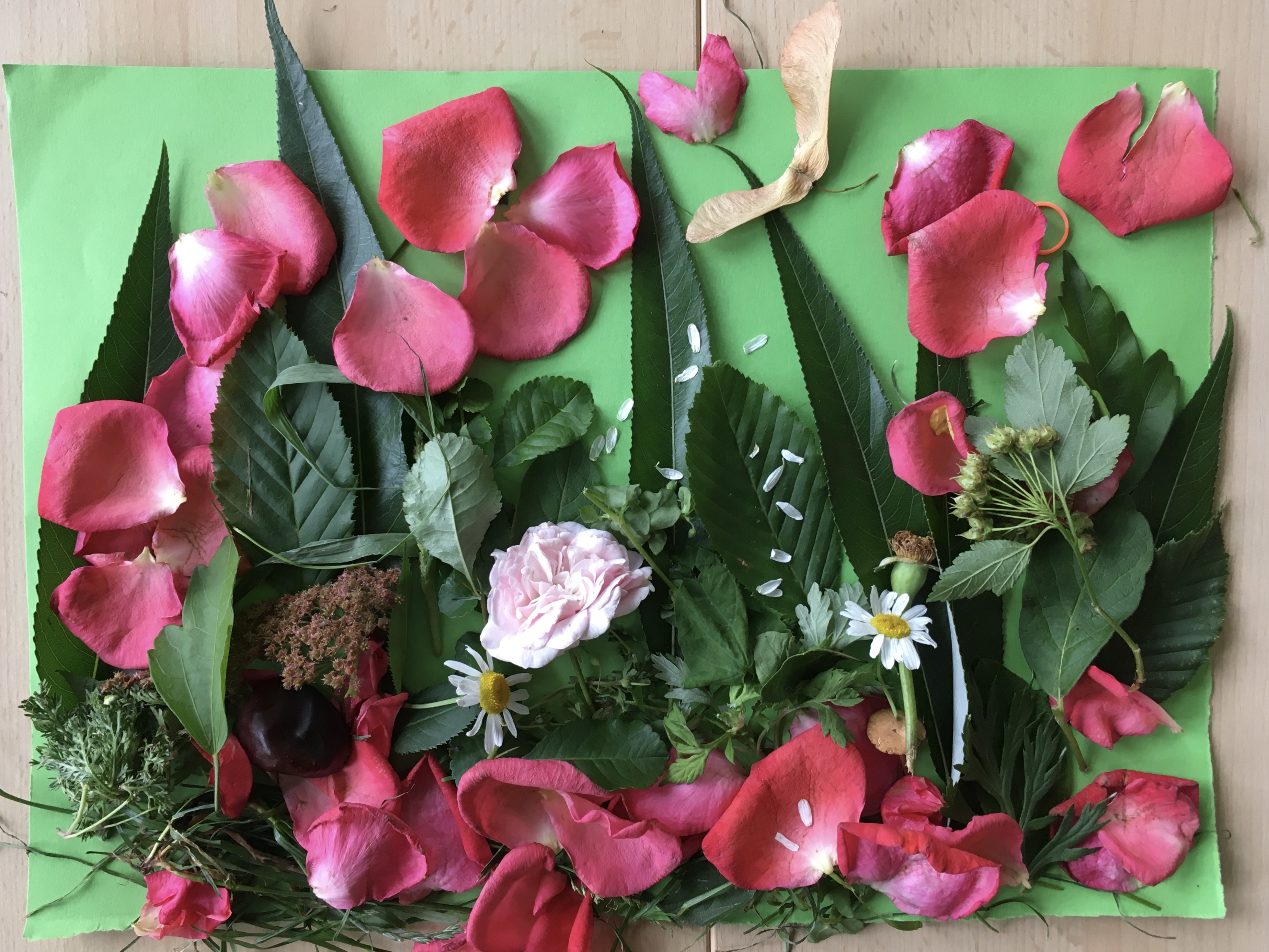 Frühlingsgefühle - Blumenkomposition 
Klasse 1b - Schuljahr 2017/2018